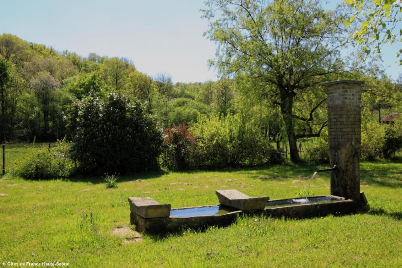 Fougerolles-Saint-Valbert Au Fil Du Temps B&B 외부 사진